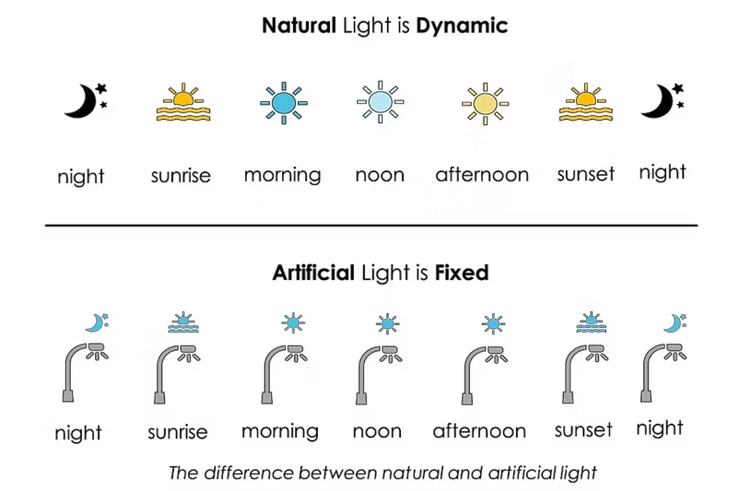 Doğal ışığın gün boyunca değişimini ve yapay ışığın sabit yapısını karşılaştıran diyagram